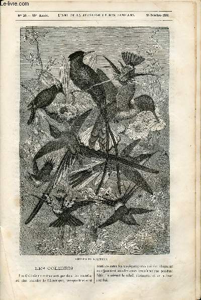 L'ami de la jeunesse et des familles - nouvelle srie - bimensuel 25 octobre 1880 - Les colibirs