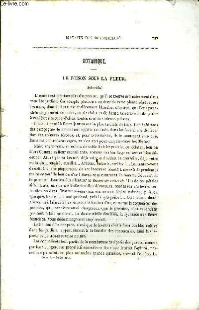 Magasin des Demoiselles. N 10 - 7me anne : Thomas More - Valeurs de quelques monnaies trangres - Salvator Rosa ...