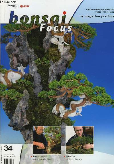 Bonsai Focus N34 : Niveau Expert avec Kenichi Abe. Interview de Peter Warren.