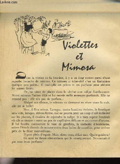 Les Contes de Perrette. N290 : Violettes et Mimosa.