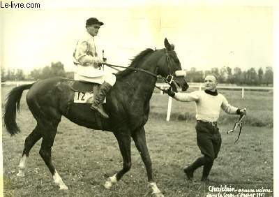Photographie originale du cheval Chatelain aprs sa victoire dans la Coupe d'Argent 1951