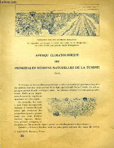 Document sur la Tunisie, livraison n35 : Aperu climatologique des Principales rgions naturelles de la Tunisie (Suite) - Intrieurs des caves de Zaouem - Ouvriers Fezzanais et leur habitation arienne.