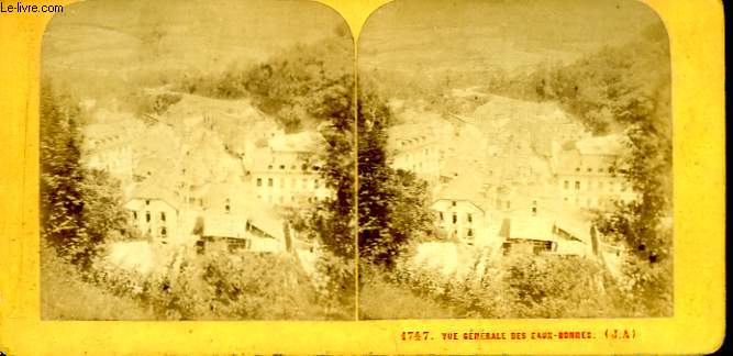 1 planche compose de 2 photographies (identiques) anciennes albumines : Vue gnrale des Eaux-Bonnes (N1747)
