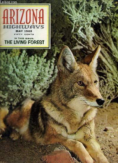 Arizona Highways, Volume XLI - N5 : The Living Forest - The story of Arizona's Own Kaibab Squirrel - The Living Desert - The Woolery Mineral Collection ...