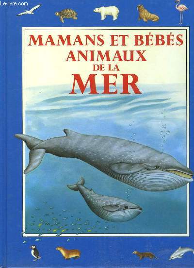 Mamans et bbs animaux de la mer.