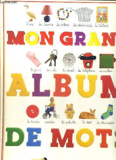 MON GRAND ALBUM DE MOTS