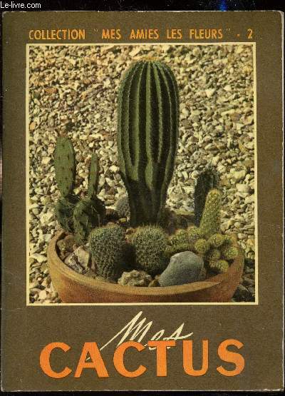 Mes cactus