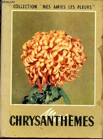 Mes Chrysanthmes