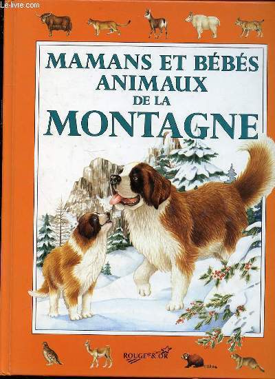 MAMANS ET BEBES ANIMAUX DE LA MONTAGNE - ILLUSTRATIONS DE LORELLA RIZZATTI.
