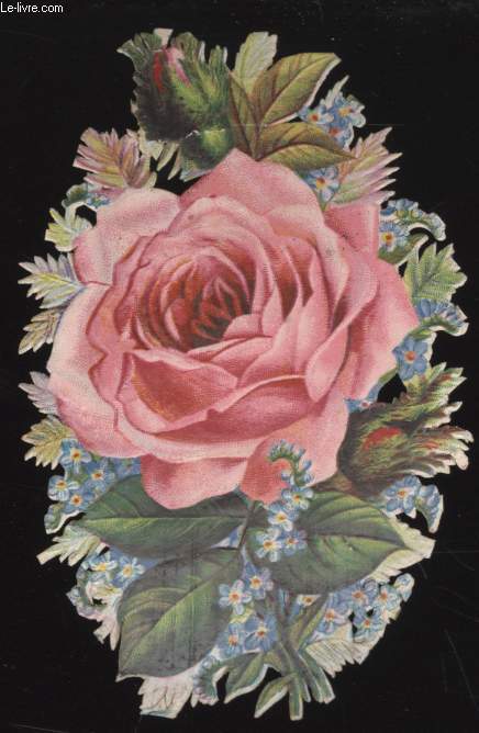 CHROMOLITHOGRAPHIE - FLEURS