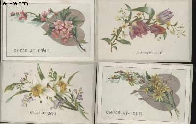 CHROMOLITHOGRAPHIES - FLEURS CHOCOLAT LOUIT