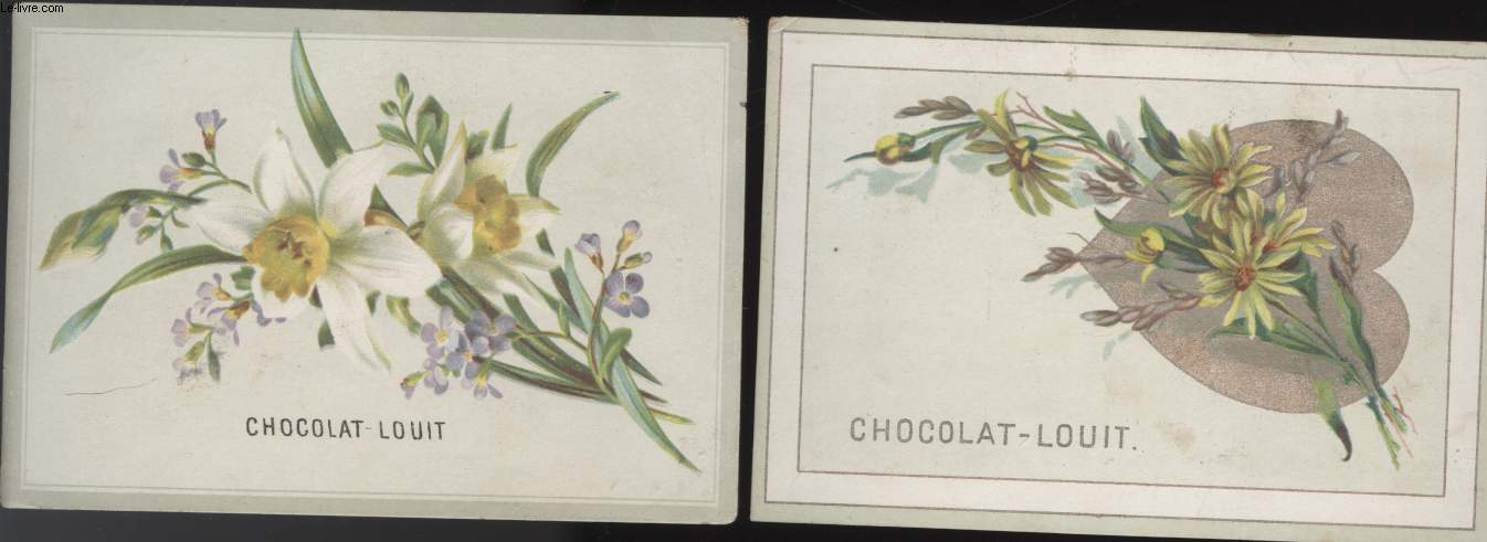 CHROMOLITHOGRAPHIE - FLEURS