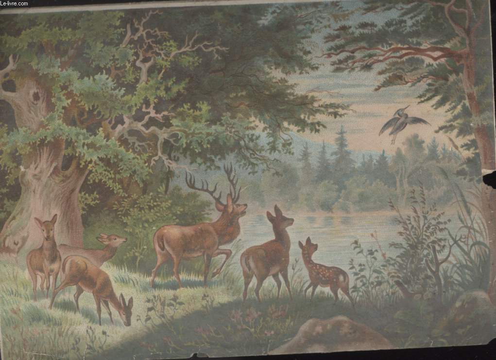 CHROMOLITHOGRAPHIE - FAMILLE BICHE