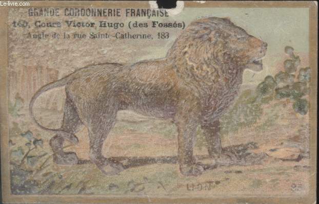 CHROMOLITHOGRAPHIE - LION