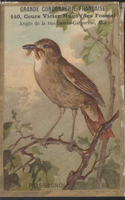 CHROMOLITHOGRAPHIE - OISEAU AVEC UN VERS DANS LE BEC