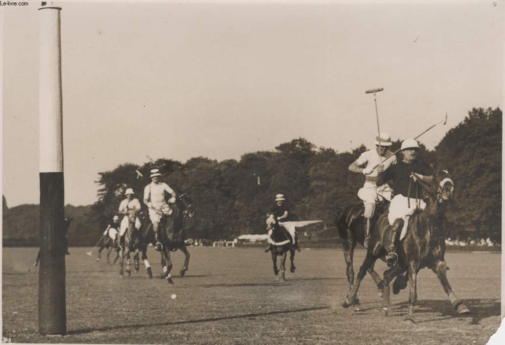 PHOTO ANCIENNE SITUEE - COUPE DE POLO