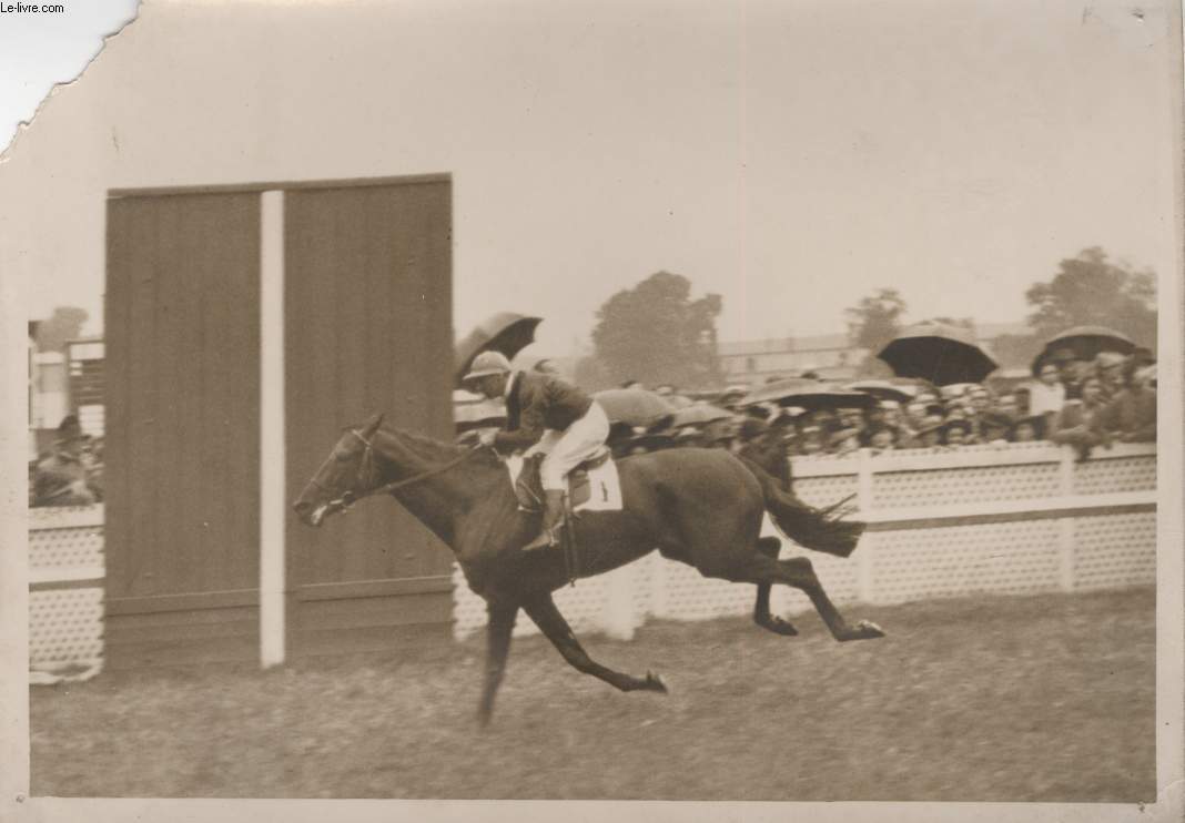 PHOTO ANCIENNE SITUEE - LE PRIX DU JOCKEY CLUB A CHANTILLY