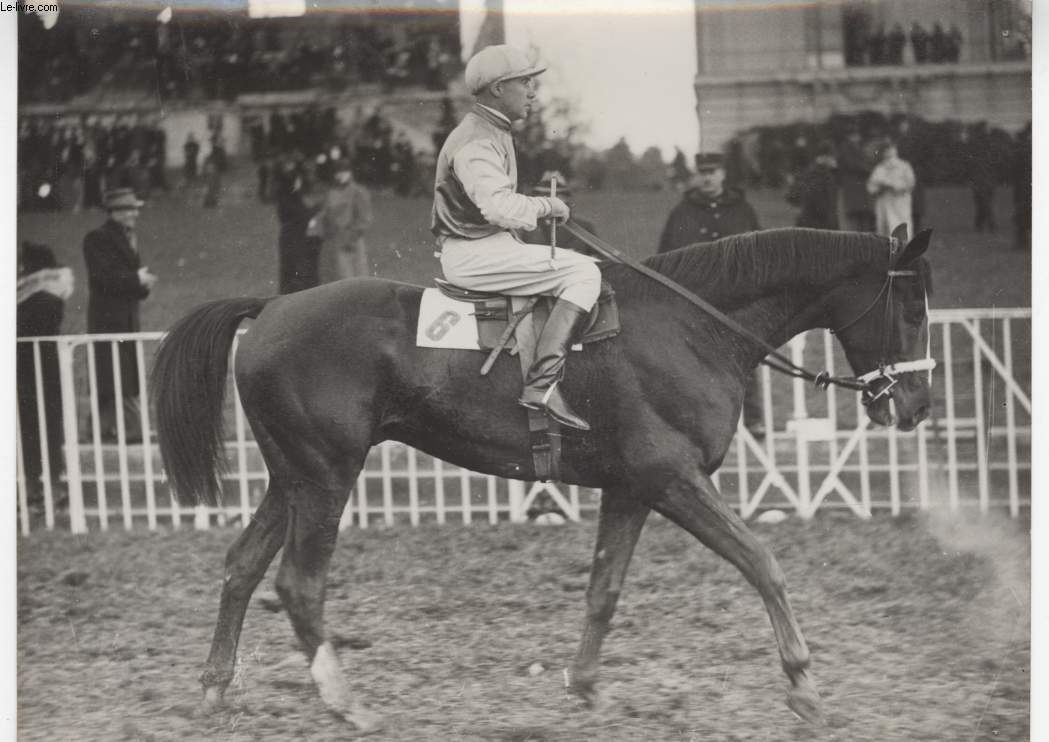 PHOTO ANCIENNE SITUEE - AVANT LE GRAND STEEPLE CHASE DE PARIS