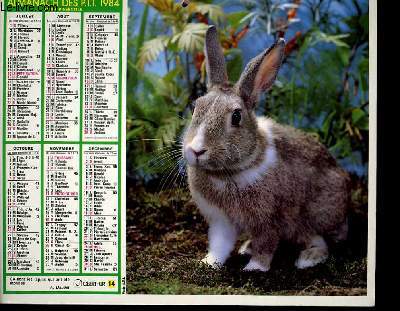 CALENDRIER - ALMANACH DES P.T.T. - CHATONS LAPIN