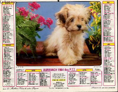 CALENDRIER - ALMANACH DES P.T.T. - JEUNE CHIEN - JEUNES CHATS