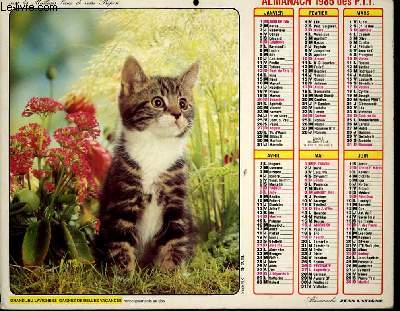 CALENDRIER - ALMANACH DES P.T.T. - CHATS