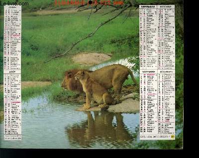 CALENDRIER - ALMANACH DES P.T.T. - FAONS - COUPLE DE LION AU KENYA