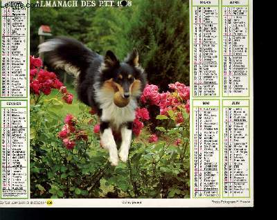 CALENDRIER - ALMANACH DES P.T.T. - LABRADORS DANS LE BOIS - COLLEY JOUANT