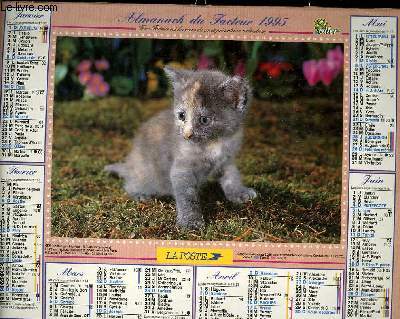 CALENDRIER - ALMANACH DU FACTEUR - CHATON GRIS TRICOLORE - CHATON DANS CARTON A CHAPEAU