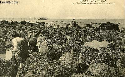 CARTE POSTALE - TROUVILLE SUR MER