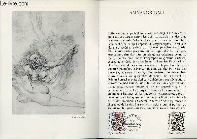 DOCUMENT PHILATELIQUE OFFICIEL N33-79 - SALVADOR DALI (N2067 YVERT ET TELLIER)