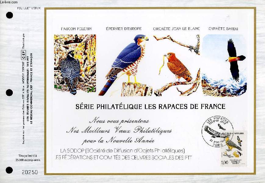 FEUILLET ARTISTIQUE PHILATELIQUE - CEF - FEUILLET VOEUX - SERIE PHILATELIQUE LES RAPACES DE FRANCE - FAUCON PELERIN - EPERVIER D'EUROPE - CIRCAETE JEAN LE BLANC - GYPAETE BARBU