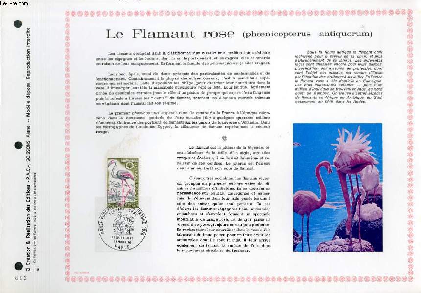 FEUILLET ARTISTIQUE PHILATELIQUE - PAC - 70 - 09 - LE FLAMANT ROSE ( PHOENICOPTERUS ANTIQUORUM)