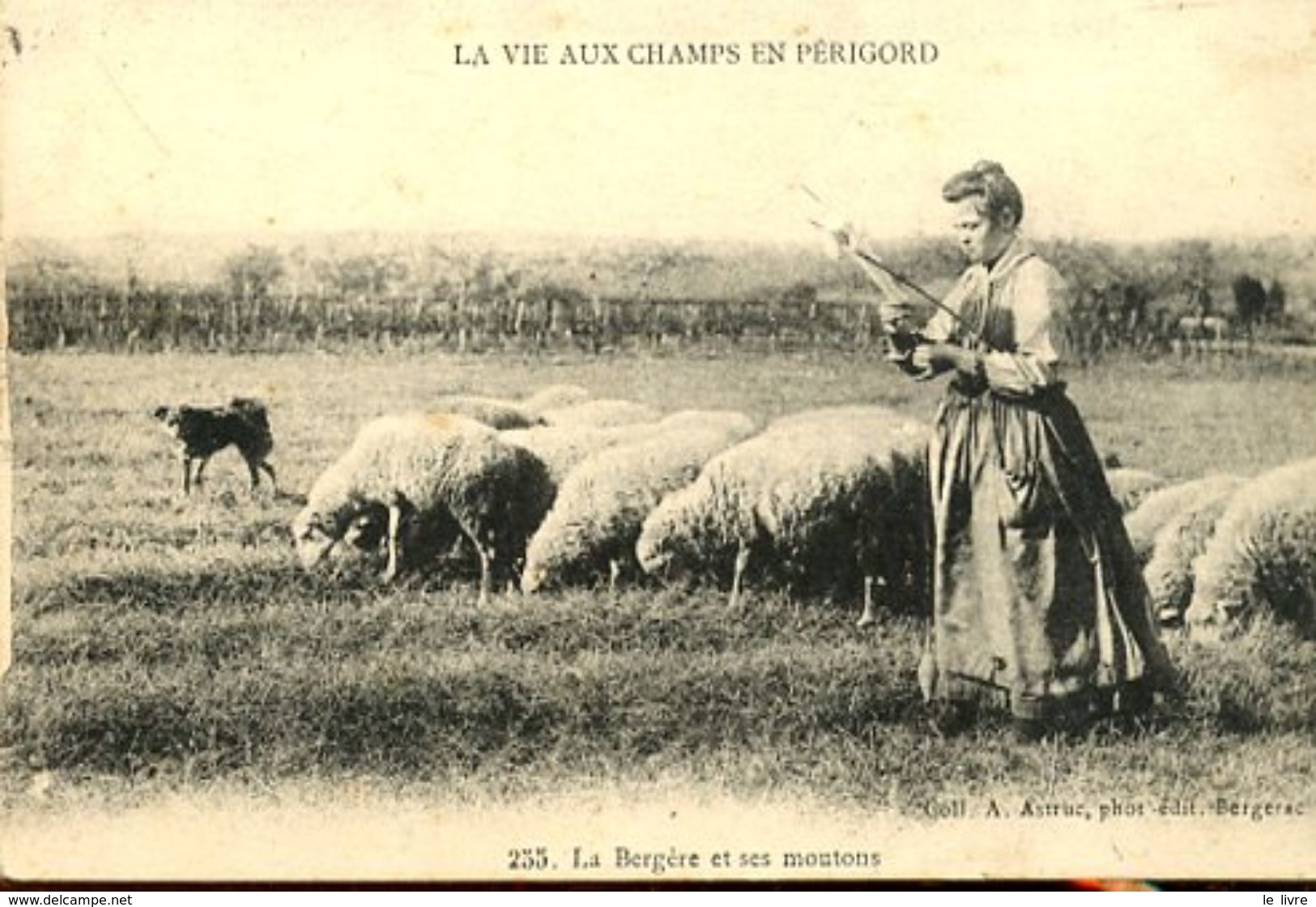 CPA 24 LA BERGERE ET SES MOUTONS - LA VIE AUX CHAMPS EN PERIGORD. CACHET DU 8 REGIMENT D'INFANTERIE