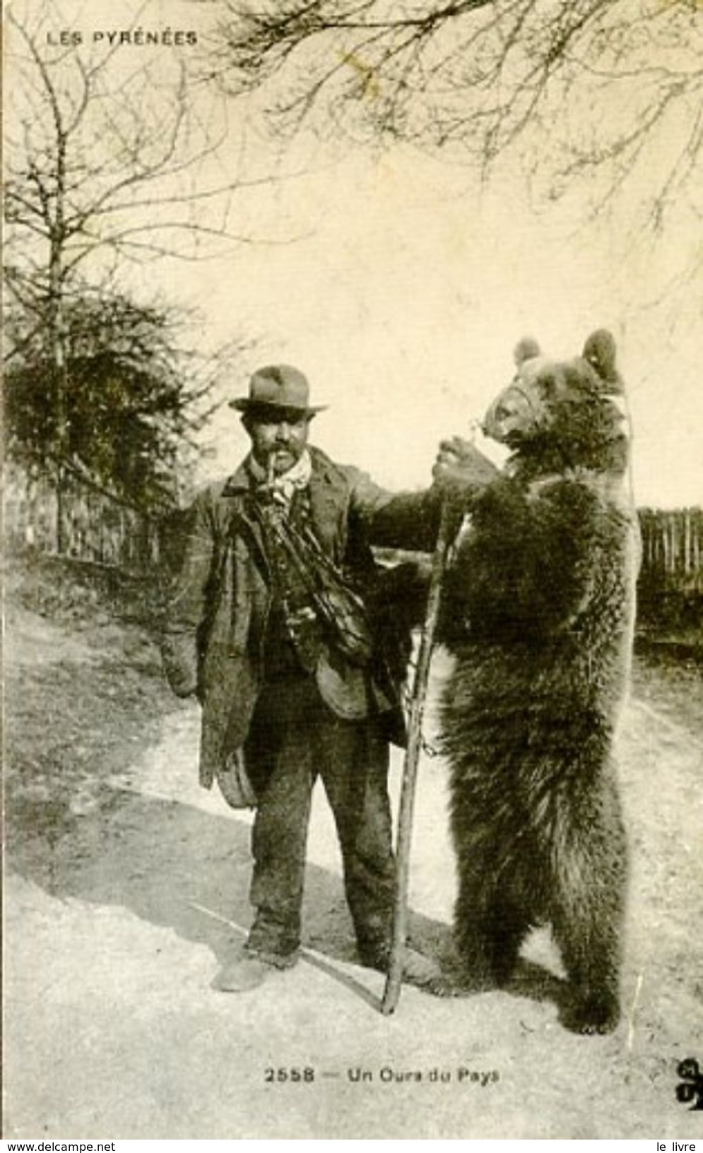 CPA 64 65 UN OURS DU PAYS - LES PYRENEES