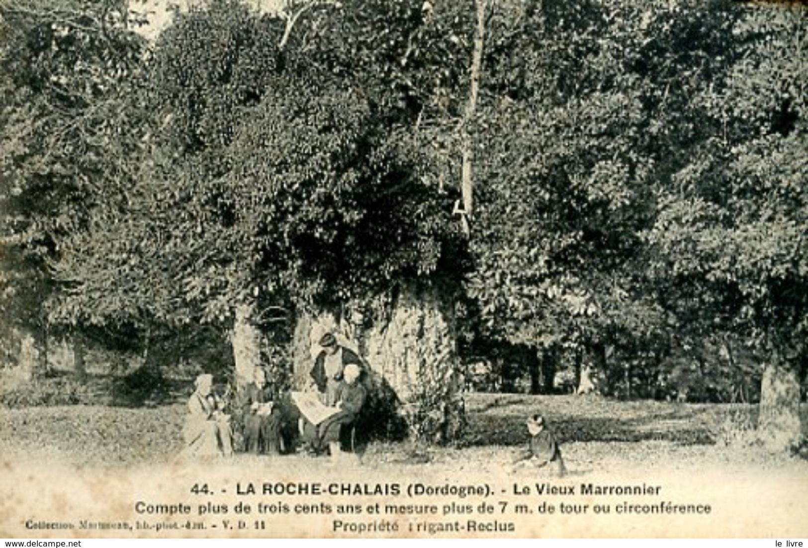 CPA 24 LA ROCHE CHALAIS (DORDOGNE) - LE VIEUX MARRONIER.