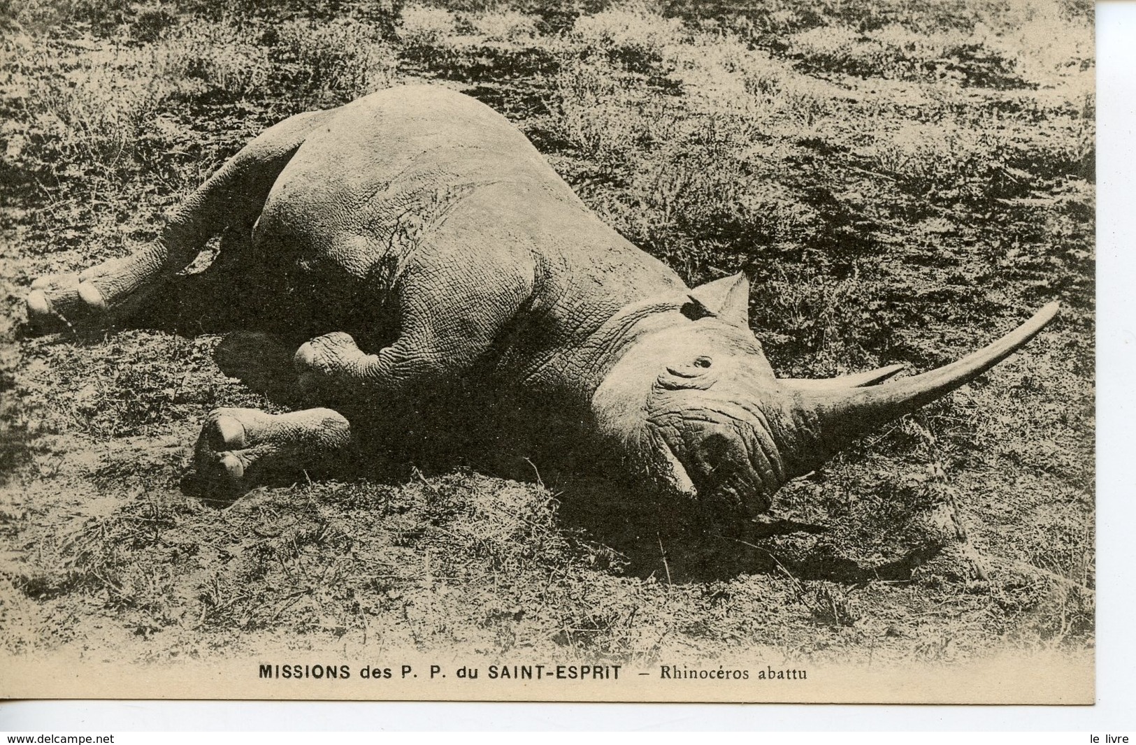 CPA MISSIONS DES P.P. DU SAINT-ESPRIT. RHINOCEROS ABATTU