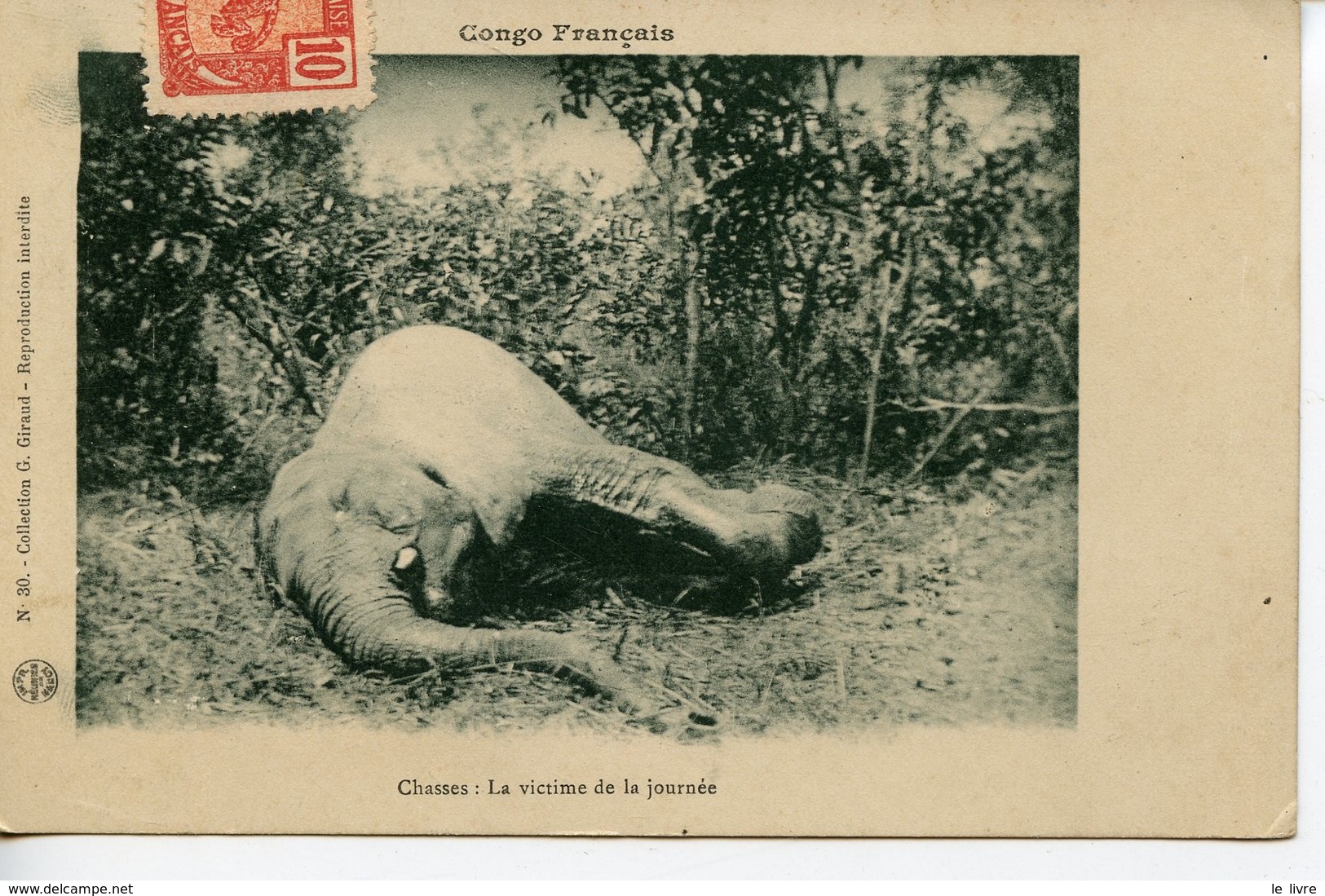 CPA CONGO FRANCAIS. CHASSES. LA VICTIME DE LA JOURNEE 1910