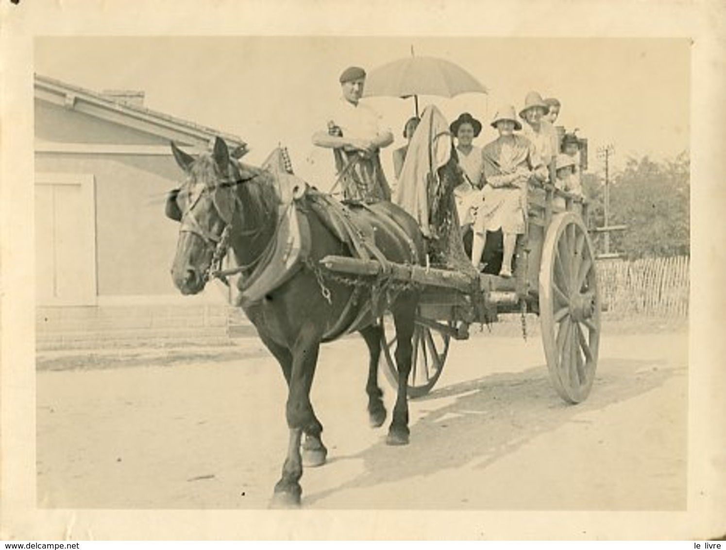 PHOTOGRAPHIE SUR CARTON FIN. CHARRUE ET CHEVAL. VENDANGES 1935 (BORDELAIS ?)