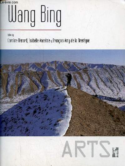Wang Bing - Making movies in China today - Collection arts histoire, thorie et pratique des arts.