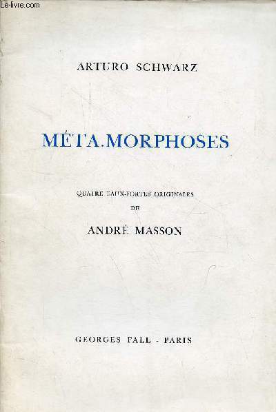 Mta.morphoses.
