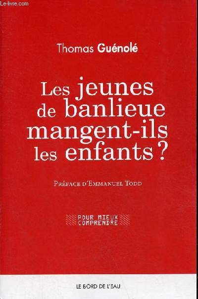 Les jeunes de banlieue mangent-ils les enfants ? - Collection pour mieux comprendre.