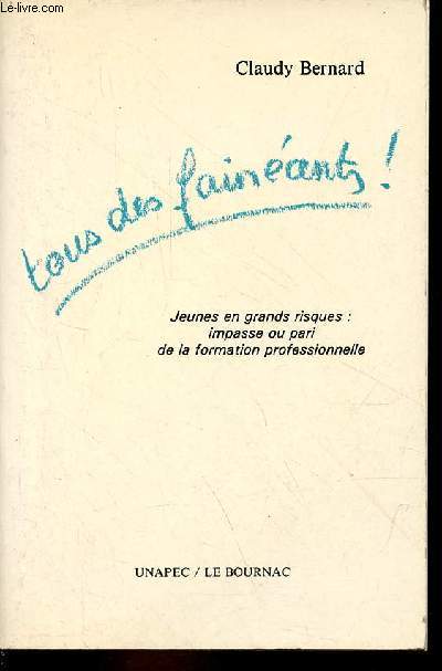 Jeunes en grands risques : impasse ou pari de la formation professionnelle.