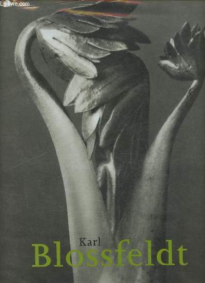 Karl Blossfeldt 1865-1932.