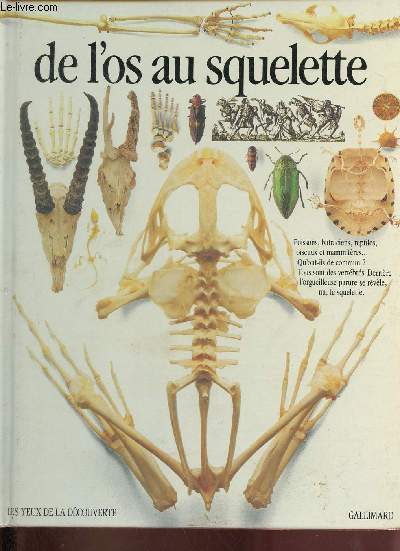 De l'os au squelette - Collection 
