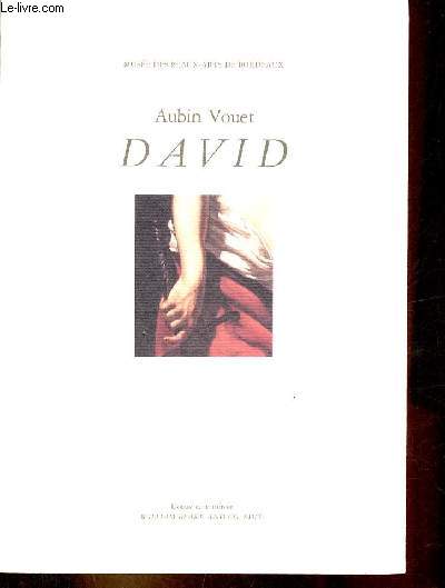 Aubin Vouet David - Muse des beaux-arts de Bordeaux - Collection l'oeuvre, le miroir.