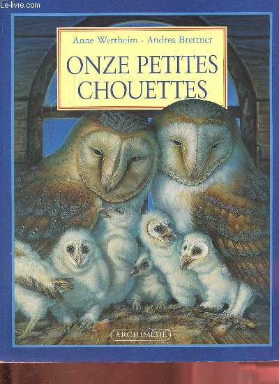 Onze petites chouettes.