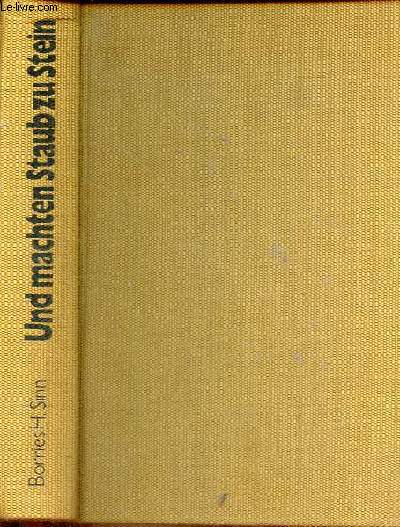 Und machten staub zu stein - Die faszinierende archologie des betons von Mesopotamien bis Manhattan.
