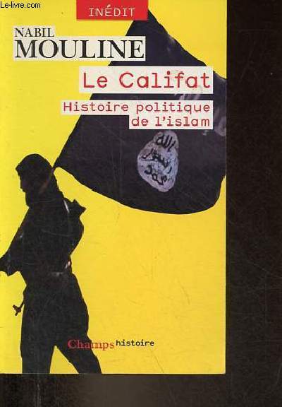 Le Califat - Histoire politique de l'islam - Collection Champs histoire.