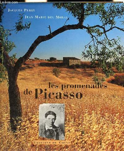 Les promenades de Picasso.