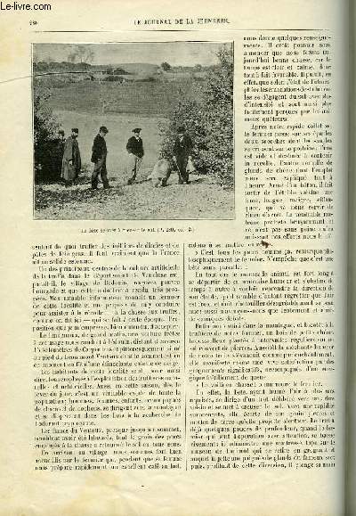 LE JOURNAL DE LA JEUNESSE, TOME 59, LIVRAISON N1531